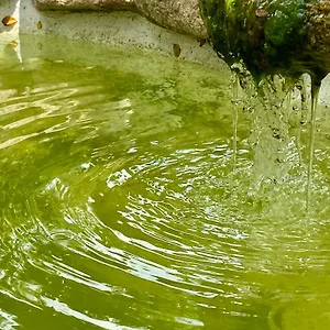  Alloggio in famiglia Lananai, Eco-ospitalità